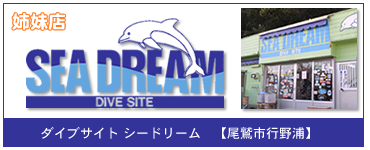 ダイブサイトシードリーム